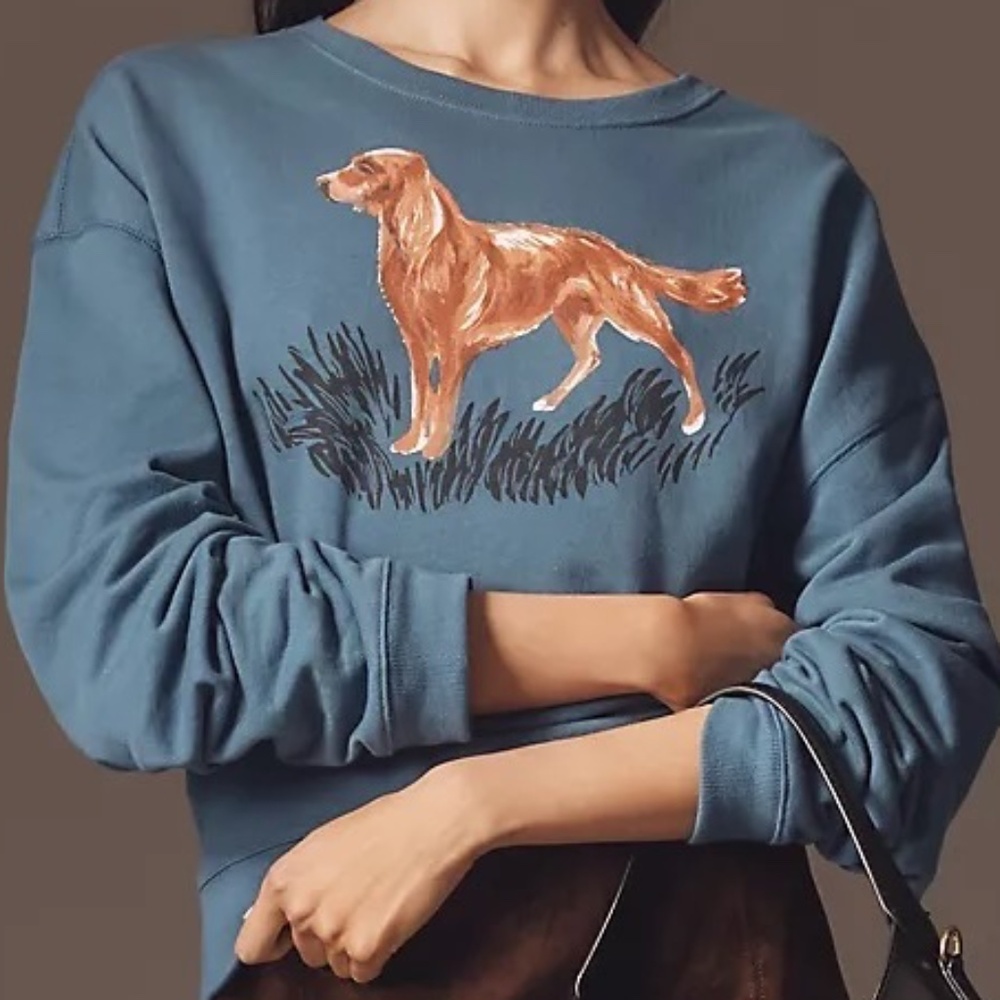 Maeve Anthropologie Sweater Sweatshirt Oversized L
